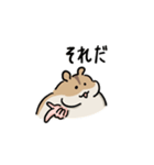 ハムスターの大吉（個別スタンプ：36）