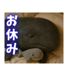 日常で使える、マッコウクジラのスタンプ（個別スタンプ：10）