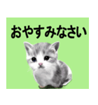 ワンニャ2（個別スタンプ：4）