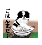 ワンニャ2（個別スタンプ：5）