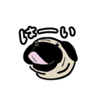 まったりパグの日常スタンプ（個別スタンプ：3）