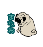 まったりパグの日常スタンプ（個別スタンプ：12）