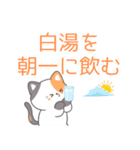ほんとに効く！40代からの美容習慣（個別スタンプ：1）