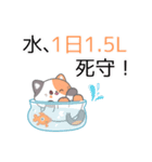 ほんとに効く！40代からの美容習慣（個別スタンプ：2）
