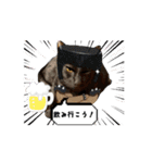 お酒とネコ好きな日常会話35（個別スタンプ：16）