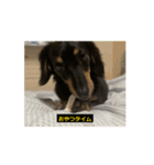 まあまあ使えるとぼきち（個別スタンプ：14）