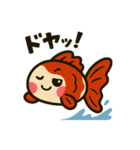 ゆるかわ金魚 感情豊かな癒しスタンプ3（個別スタンプ：5）