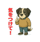 ボーダーコリー爺ちゃんの日常1（個別スタンプ：17）