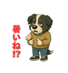 ボーダーコリー爺ちゃんの日常1（個別スタンプ：24）