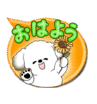 犬さん 2025 「カラフルな吹き出し」（個別スタンプ：1）