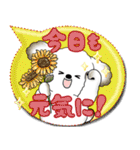 犬さん 2025 「カラフルな吹き出し」（個別スタンプ：5）