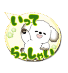 犬さん 2025 「カラフルな吹き出し」（個別スタンプ：6）
