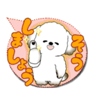 犬さん 2025 「カラフルな吹き出し」（個別スタンプ：11）