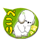 犬さん 2025 「カラフルな吹き出し」（個別スタンプ：16）