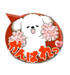 犬さん 2025 「カラフルな吹き出し」（個別スタンプ：23）