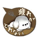 犬さん 2025 「カラフルな吹き出し」（個別スタンプ：25）