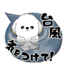 犬さん 2025 「カラフルな吹き出し」（個別スタンプ：29）