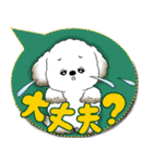 犬さん 2025 「カラフルな吹き出し」（個別スタンプ：31）