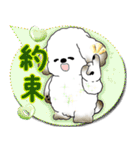 犬さん 2025 「カラフルな吹き出し」（個別スタンプ：35）
