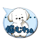 犬さん 2025 「カラフルな吹き出し」（個別スタンプ：37）