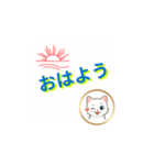 かわいい子猫の日常メッセージ（個別スタンプ：1）
