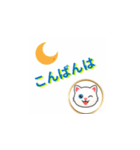 かわいい子猫の日常メッセージ（個別スタンプ：3）