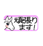 使いやすい！かわいい馬のスタンプ（個別スタンプ：6）