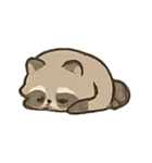 だらけアライグマククの毎日（個別スタンプ：23）