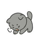 グレーネコの感情リアクション（個別スタンプ：19）
