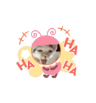 さき姬（個別スタンプ：8）
