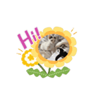 さき姬（個別スタンプ：10）