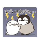 飛び出す♪ほのぼの子ペンギン9 (夏)（個別スタンプ：22）