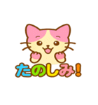ピンクハチワレネコのももぴ（個別スタンプ：12）