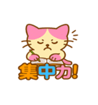 ピンクハチワレネコのももぴ（個別スタンプ：28）