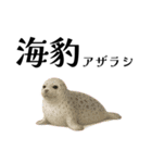 「海」のつく生き物＊漢字クイズ（個別スタンプ：4）