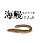 「海」のつく生き物＊漢字クイズ（個別スタンプ：8）