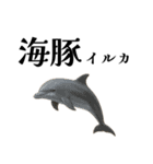 「海」のつく生き物＊漢字クイズ（個別スタンプ：10）