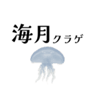 「海」のつく生き物＊漢字クイズ（個別スタンプ：18）