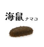 「海」のつく生き物＊漢字クイズ（個別スタンプ：24）