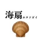 「海」のつく生き物＊漢字クイズ（個別スタンプ：34）