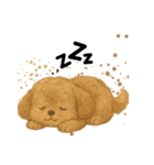 犬のスタンプLv.わん（個別スタンプ：4）