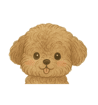 犬のスタンプLv.わん（個別スタンプ：10）