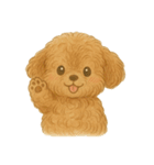 犬のスタンプLv.わん（個別スタンプ：13）