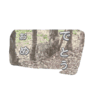 ひよりちゃんとあほんくんコラボ（個別スタンプ：13）