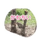 ひよりちゃんとあほんくんコラボ（個別スタンプ：14）