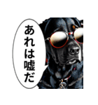 イケてるワンコ︎ ︎ ︎（個別スタンプ：2）