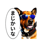 イケてるワンコ︎ ︎ ︎（個別スタンプ：3）