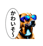 イケてるワンコ︎ ︎ ︎（個別スタンプ：5）