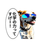イケてるワンコ︎ ︎ ︎（個別スタンプ：8）