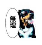 イケてるワンコ︎ ︎ ︎（個別スタンプ：9）